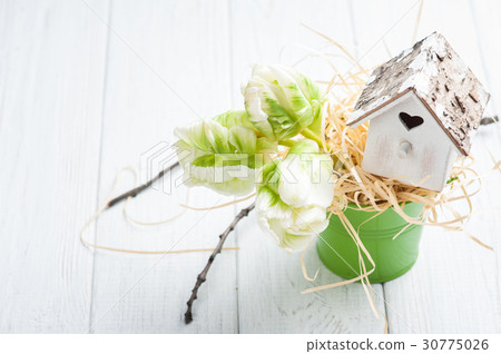 Green tulips, wooden heart shape bird house 30775026