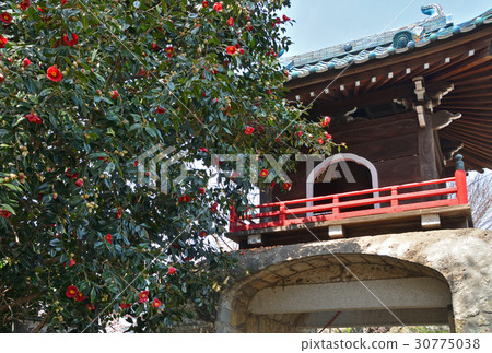 王子步行:淨土宗節三門門 王子步行:淨土宗節三門門 30775038
