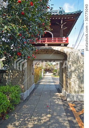 王子步行:淨土宗節三門門 王子步行:淨土宗節三門門 30775040