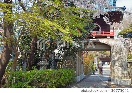 王子步行:淨土宗節三門門 王子步行:淨土宗節三門門 30775041