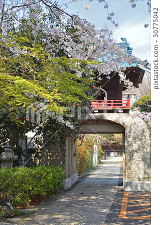 王子步行:淨土宗節三門門 王子步行:淨土宗節三門門 30775042