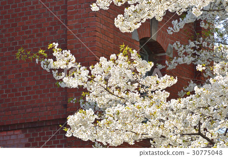 Oji walk: The former brewery laboratory No. 1 factory 30775048