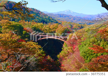 Snow split bridge in autumn (Saigo village) 30775351