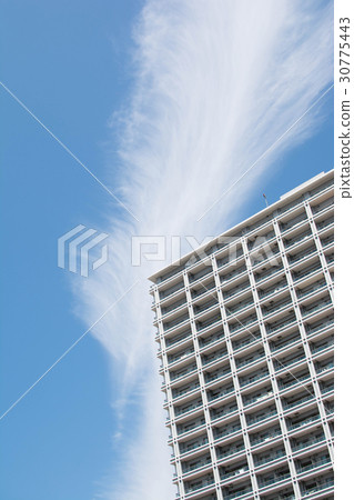 High rise apartment High rise apartment 30775443