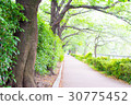 Green road 30775452
