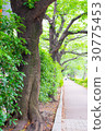 Green road 30775453