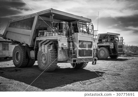 Two dumpers black and white 30775691
