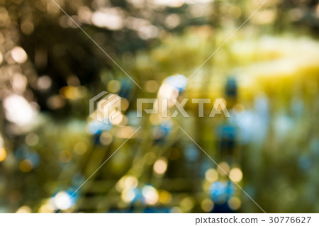 mangrove  forest inThailand 30776627