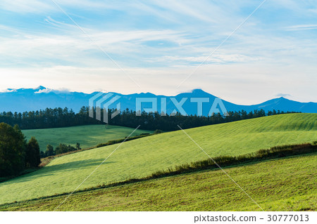 "Hokkaido" Biei · countryside in the morning "Hokkaido" Biei · countryside in the morning 30777013