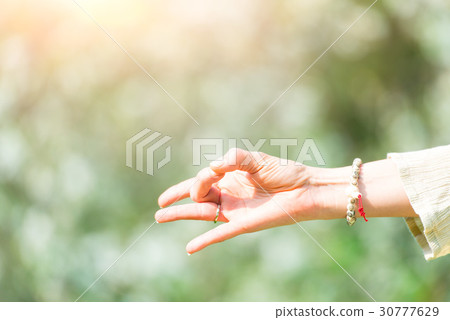 Hand in yoga position in nature Hand in yoga position in nature 30777629