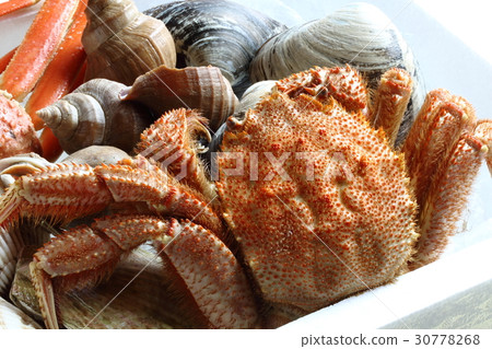 Seafood  30778268