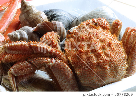 Seafood  30778269