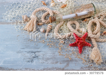 sea shells in a fishnet sea shells in a fishnet 30778578