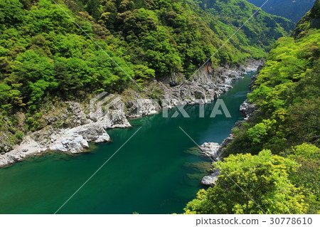 Koboke gorge of fresh green 30778610