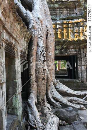 Angkor Wat Temple Angkor Wat Temple 30779044