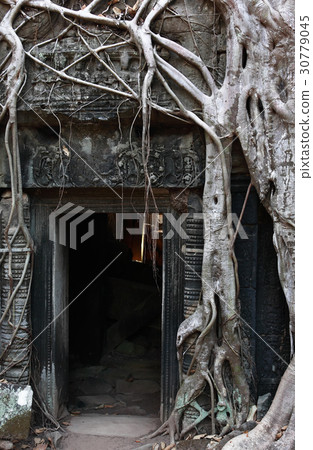 Angkor Wat Temple 30779045