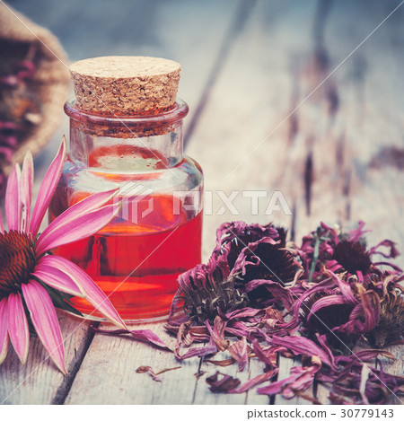 Essential oil bottle and coneflower Essential oil bottle and coneflower 30779143
