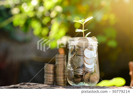 Save money with stack coin for growing business Save money with stack coin for growing business 30779214