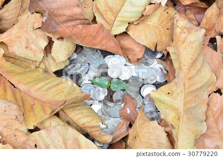 Save money with stack coin for growing business 30779220