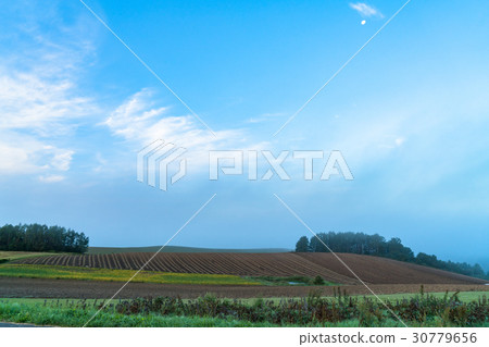 “北海道”Biei·早上的鄉村 30779656