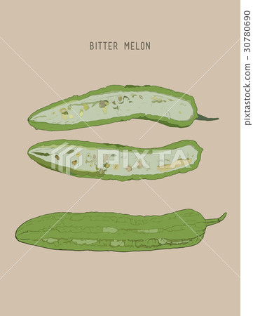 Bitter melon pod , sketch vector. 30780690