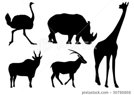 Silhouettes of animals. giraffe, rhino, ostrich Silhouettes of animals. giraffe, rhino, ostrich 30780808