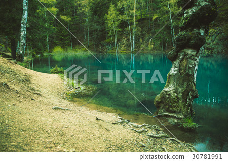 Magical pond in mysterious forest. Magical pond in mysterious forest. 30781991