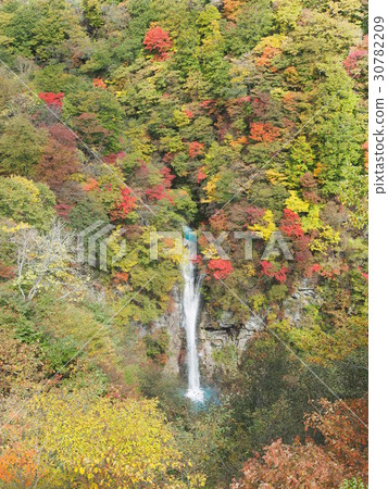 Kokage Falls 30782209