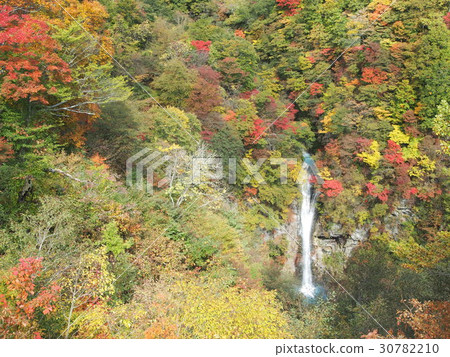 Kokage Falls Kokage Falls 30782210