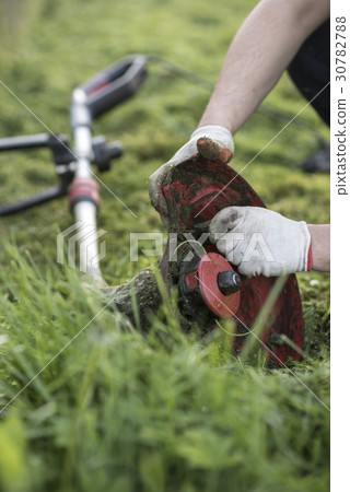 String trimmer cleaning after cutting the grass 30782788