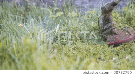 String trimmer mowing the grass 30782790