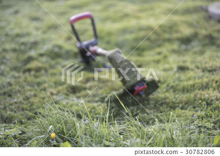 String trimmer lies on mown lawn middle of yard 30782806