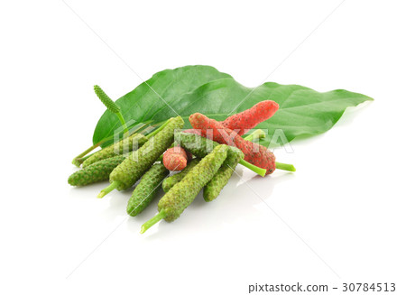 Long pepper or Piper longum on white background 30784513