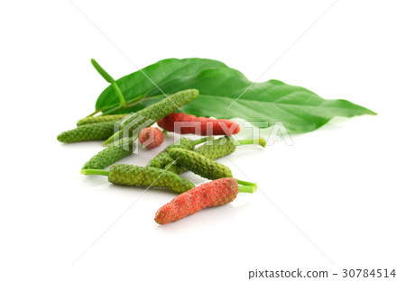 Long pepper or Piper longum on white background Long pepper or Piper longum on white background 30784514