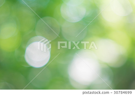 Blurred material in autumn forest Blurred material in autumn forest 30784699