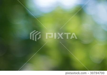 Blurred material in autumn forest Blurred material in autumn forest 30784700