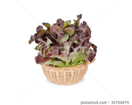 fresh red oak in rattan basket on white background fresh red oak in rattan basket on white background 30788874