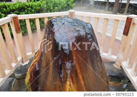 Shirosaki Hot Springs Motoe（兵庫縣豐岡市） 30793123
