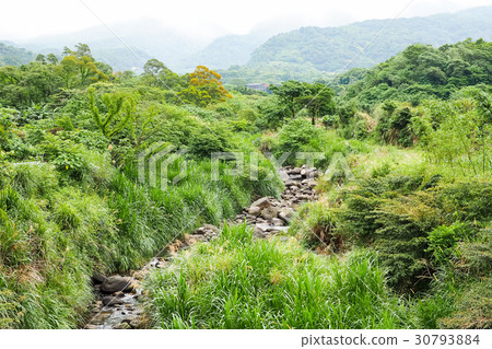 Riverside scenery Riverside scenery 30793884