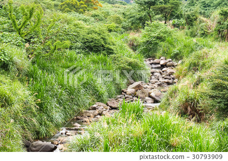 河邊風景 河邊風景 30793909
