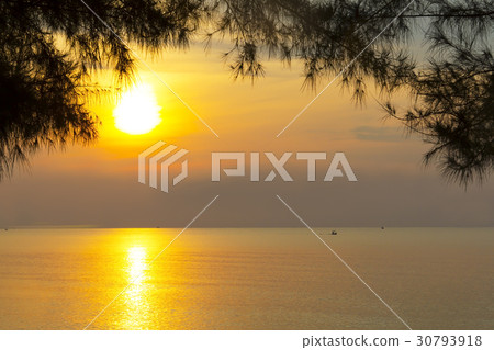 Sunrise morning and pine Sunrise morning and pine 30793918