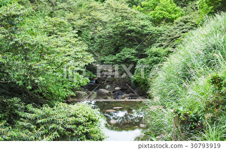 河邊風景 河邊風景 30793919