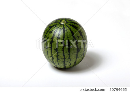 西瓜小watermelle 西瓜小watermelle 30794665