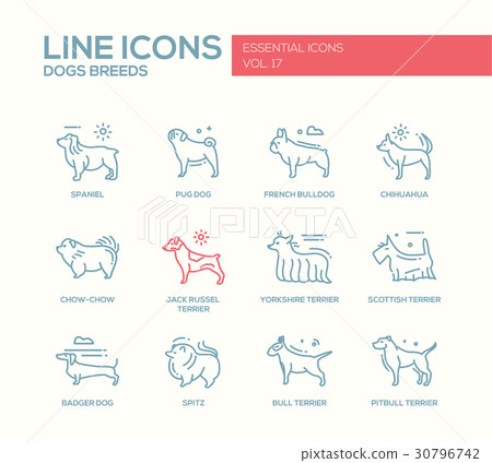 Dog breeds - line design icons set 30796742