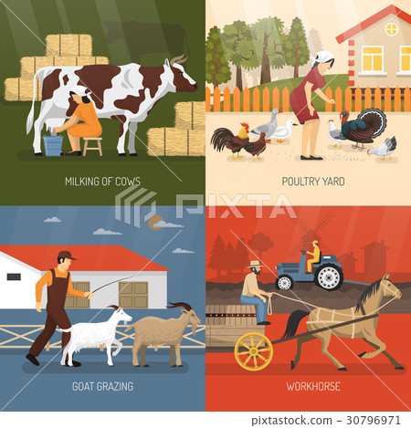 Farm Animals Design Concept Farm Animals Design Concept 30796971
