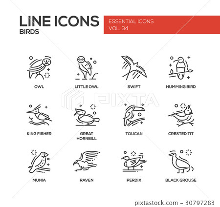 Birds - line design icons set 30797283