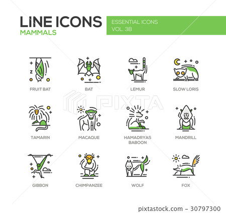 Mammals - line design icons set Mammals - line design icons set 30797300