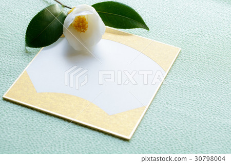 白山茶和Shimamado 30798004