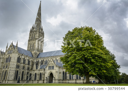 Salisbury cathedral 30799544