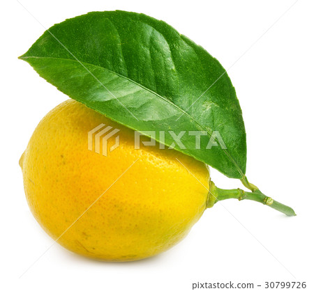 Lemon with leaf isolated on white 30799726